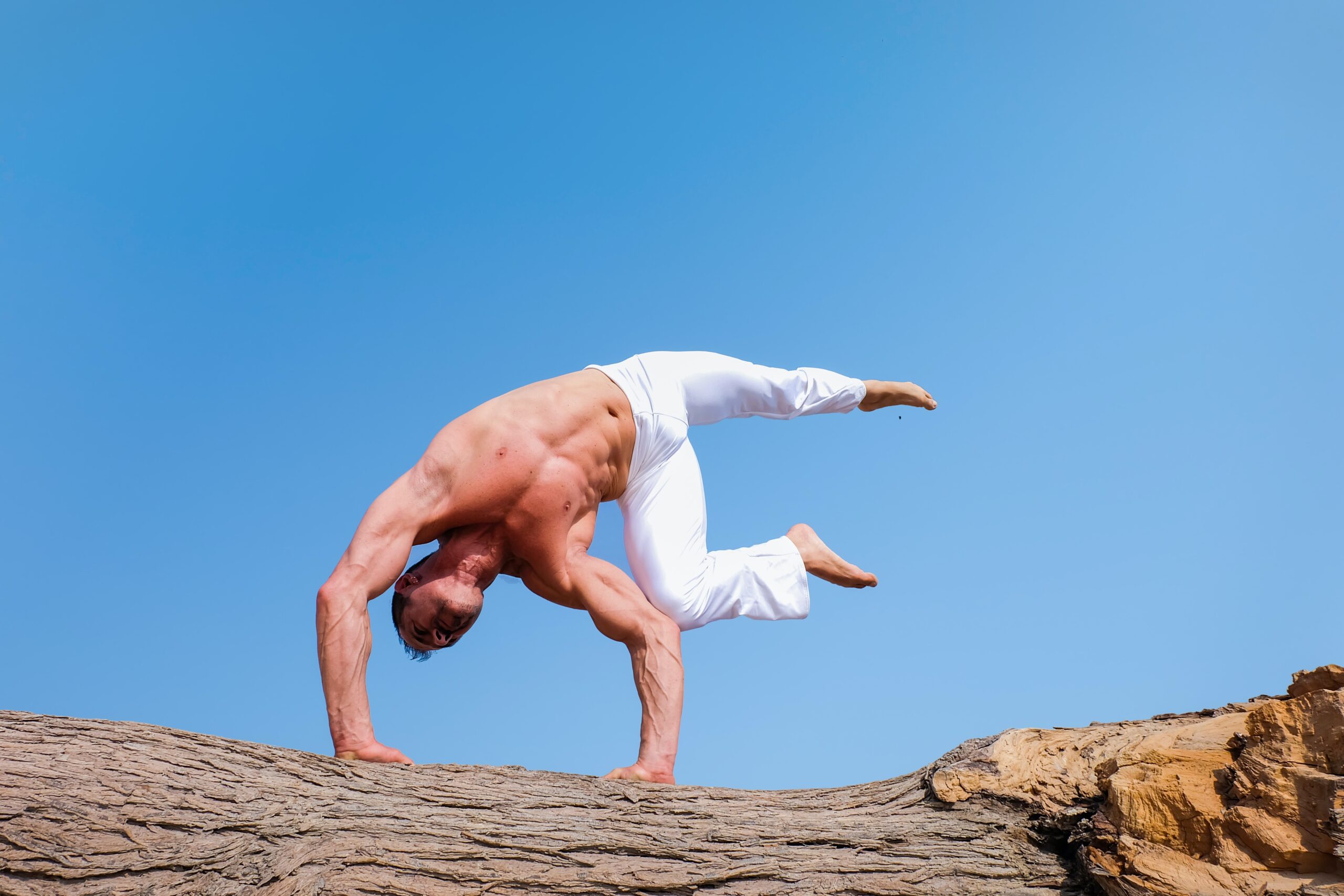Read more about the article Losing body fat