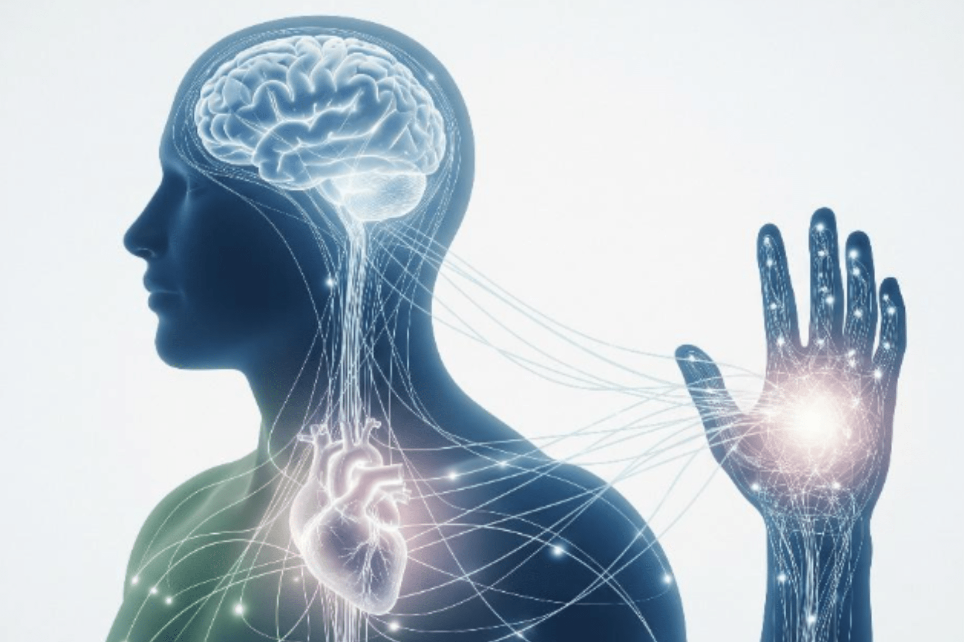 Mind-Body-Health