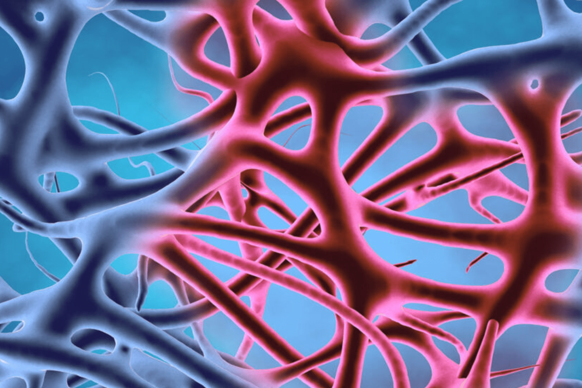 You are currently viewing All about Inflammation