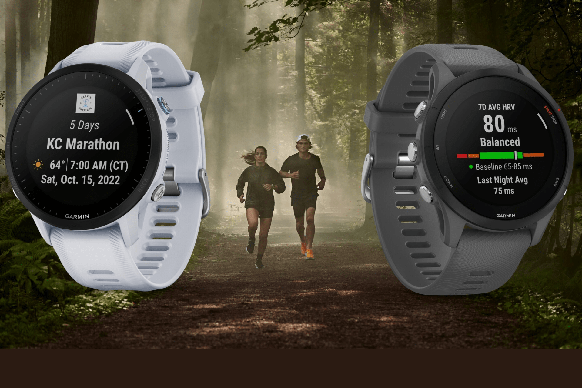 You are currently viewing Are There Any Complete Free Fitness Apps?