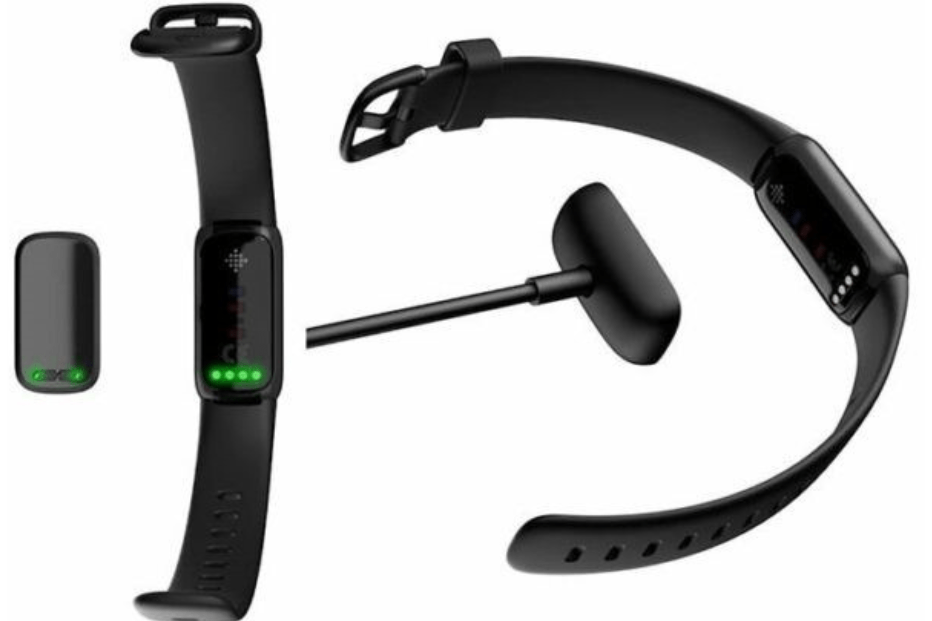 Read more about the article Fitbit Health