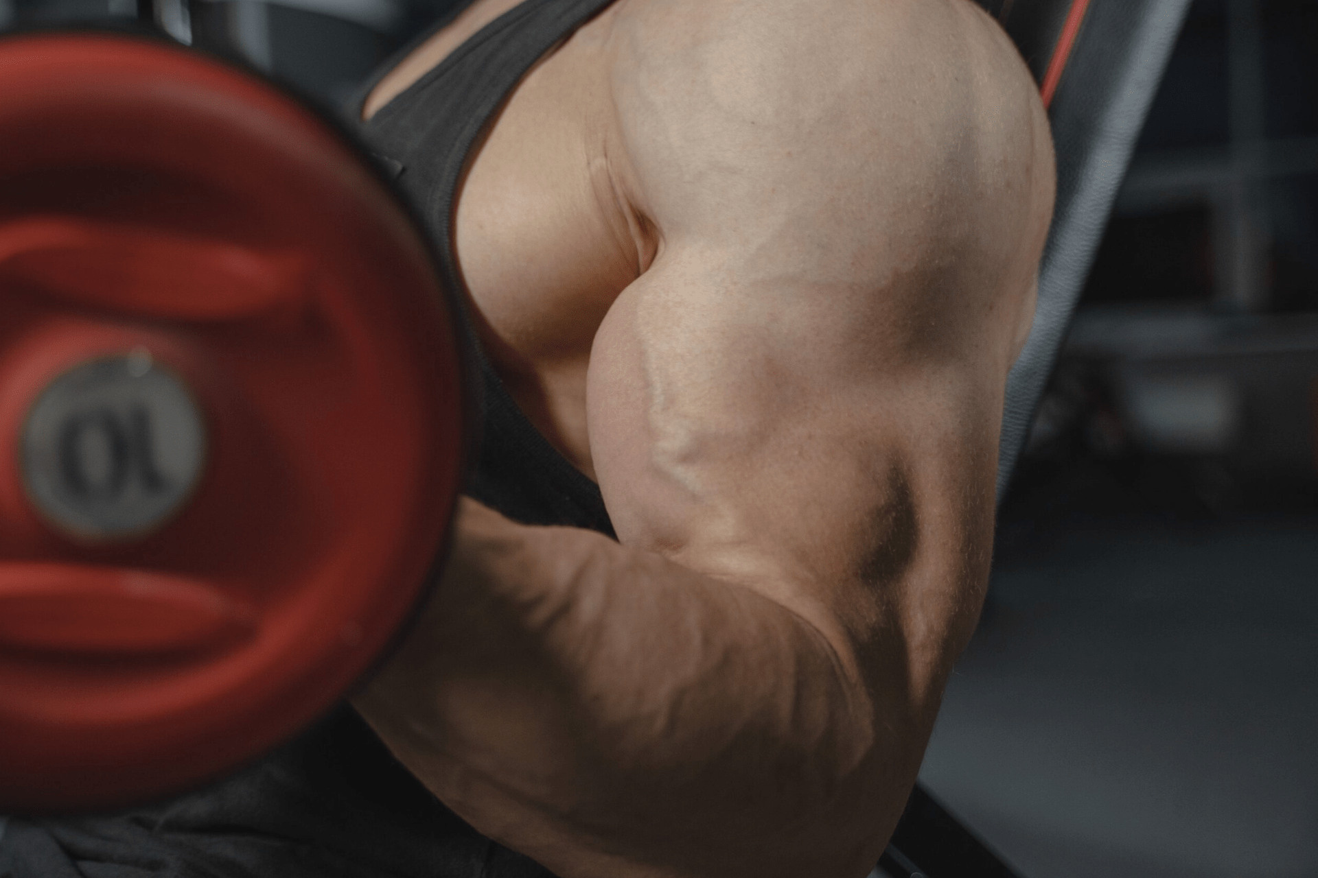 Read more about the article Unlocking the Science of Muscle Growth